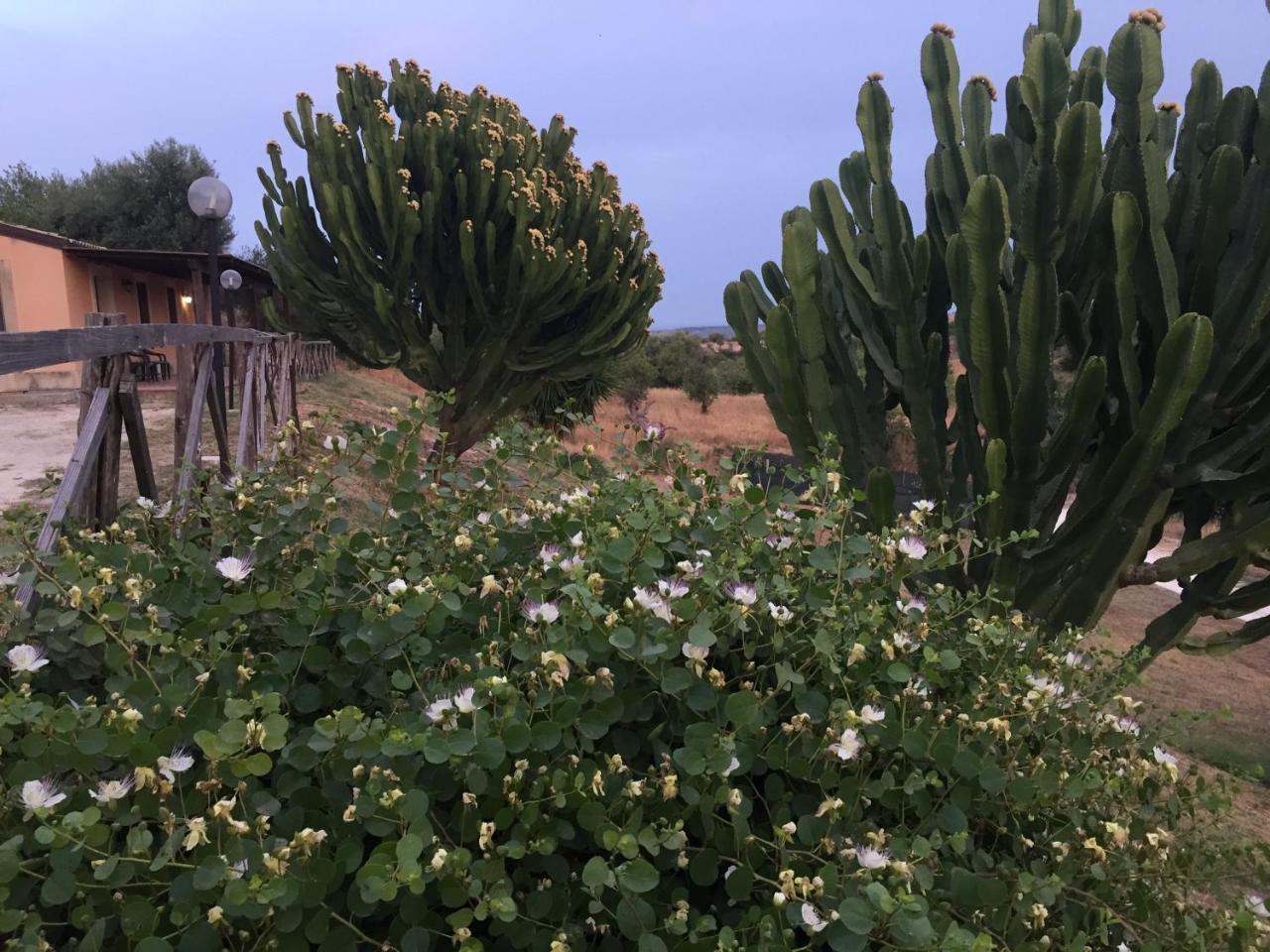 Agriturismo Saccollino San Paolo  エクステリア 写真