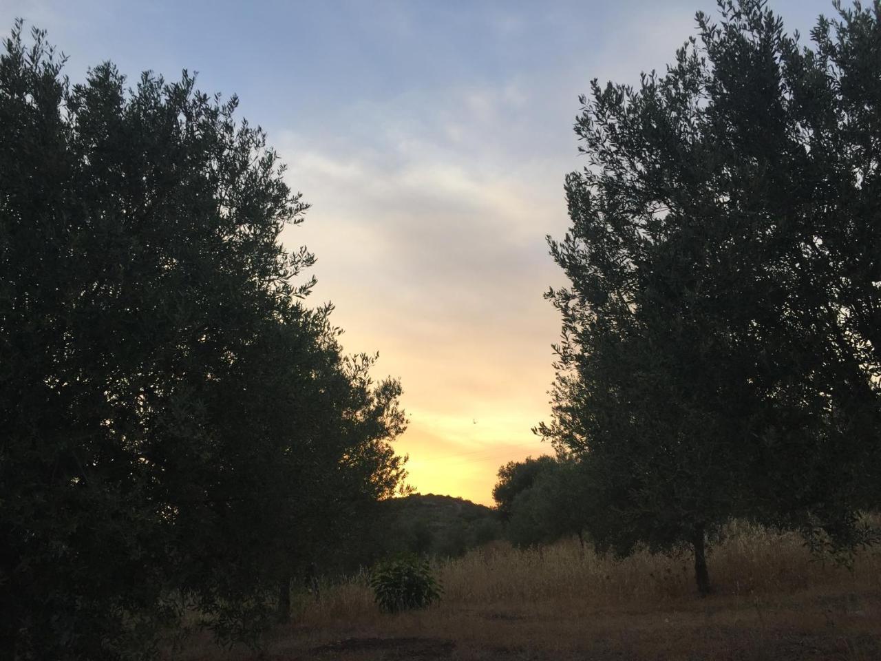 Agriturismo Saccollino San Paolo  エクステリア 写真