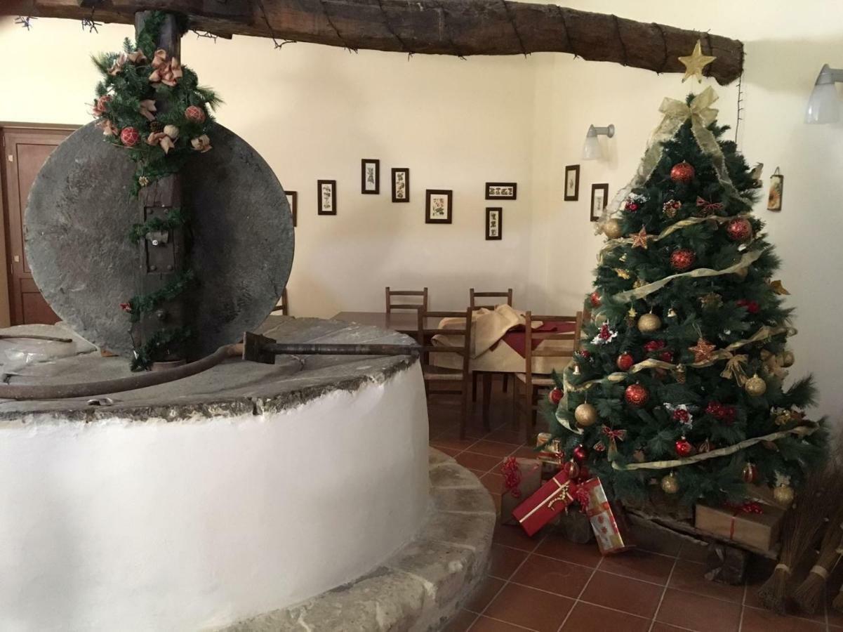 Agriturismo Saccollino San Paolo  エクステリア 写真