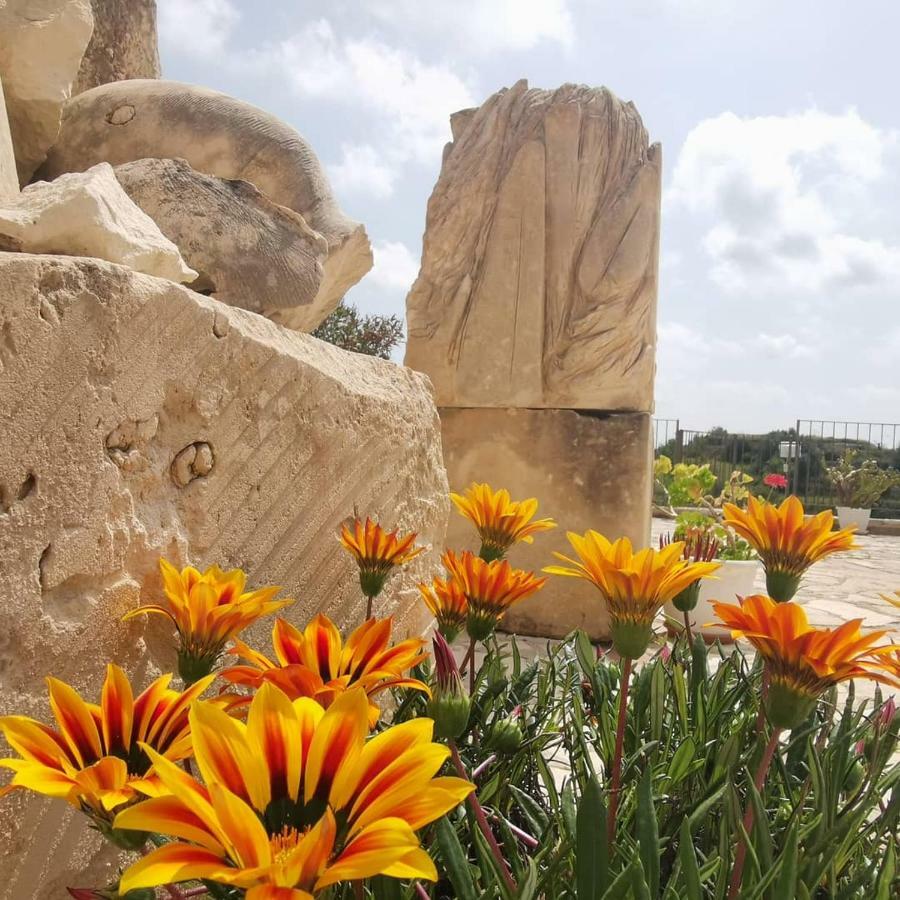 Agriturismo Saccollino San Paolo  エクステリア 写真